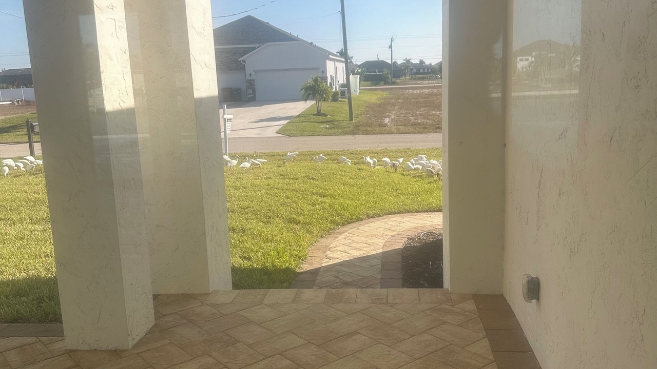 Photo of Outdoor in Burnt Store
