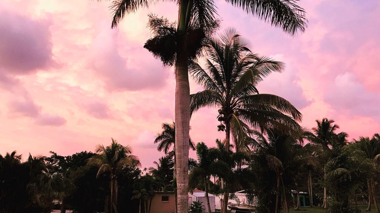 Photo of Outdoor in Bokeelia