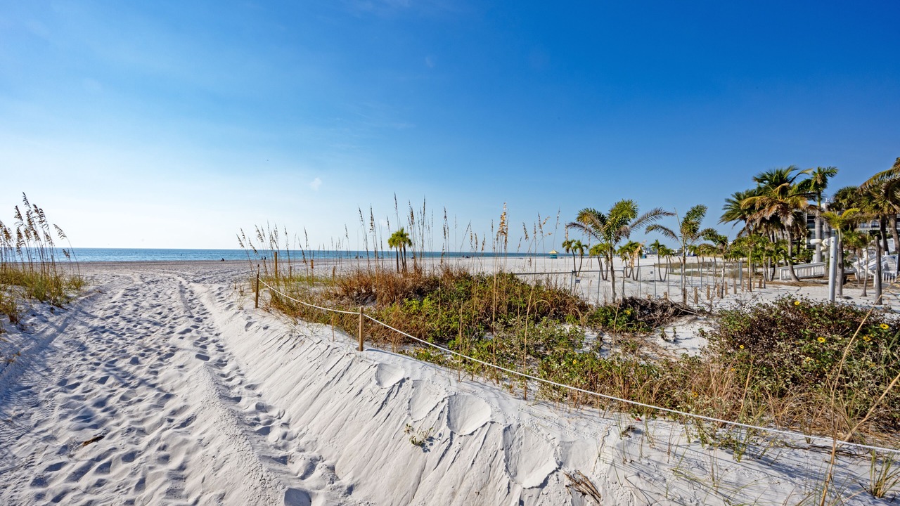 Photo of Others in St. Pete Beach