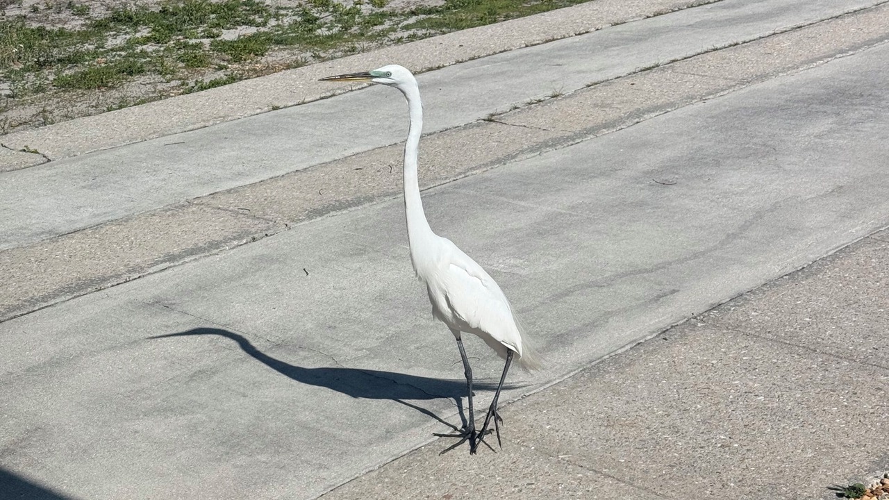 Photo of Others in Edgewater