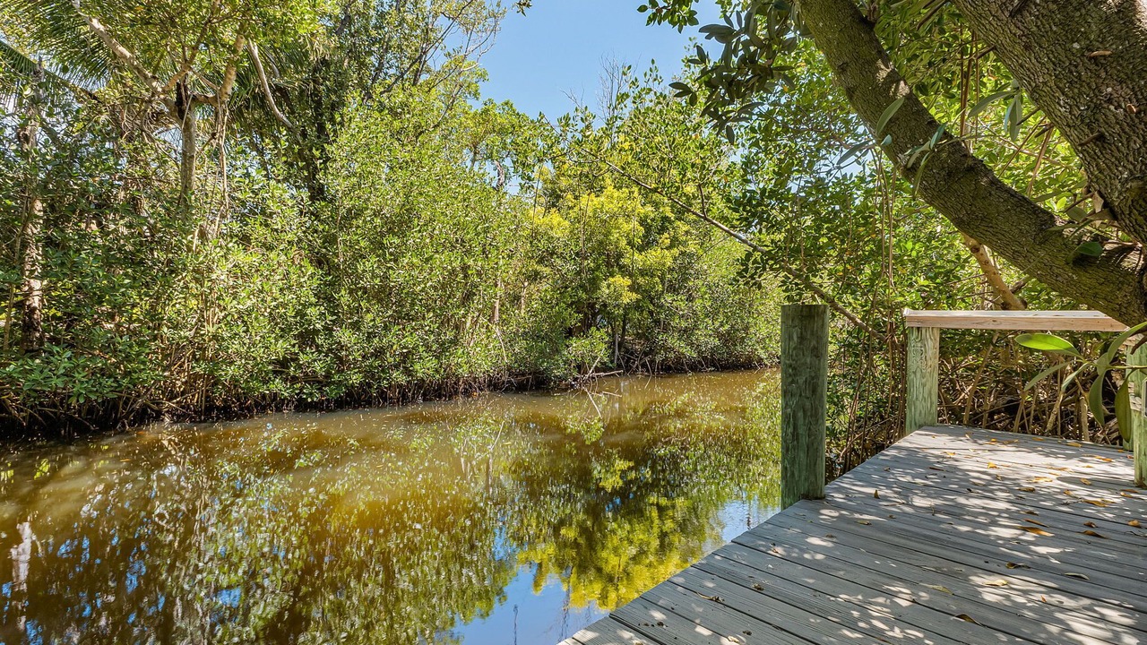 Photo of Outdoor in Shell Harbor