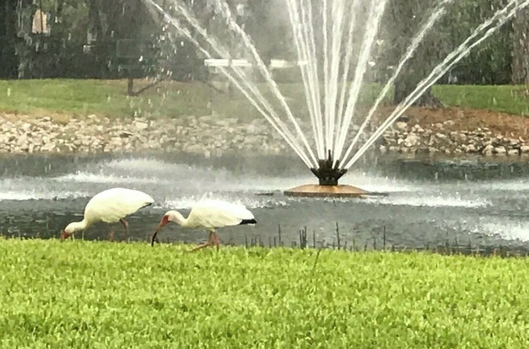 Photo of Others in Fountain Lakes