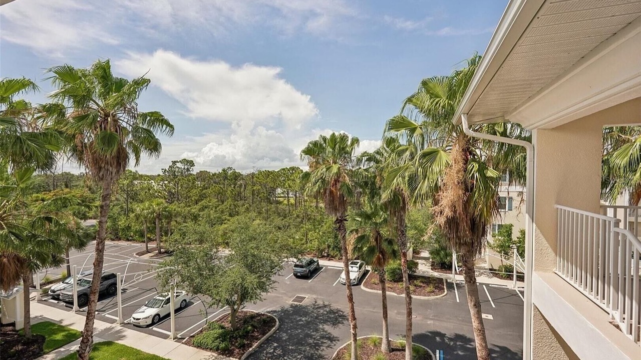 Photo of Outdoor in Cape Haze