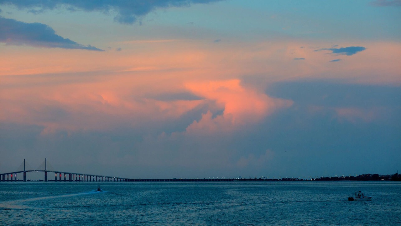 Photo of Others in Pinellas Point