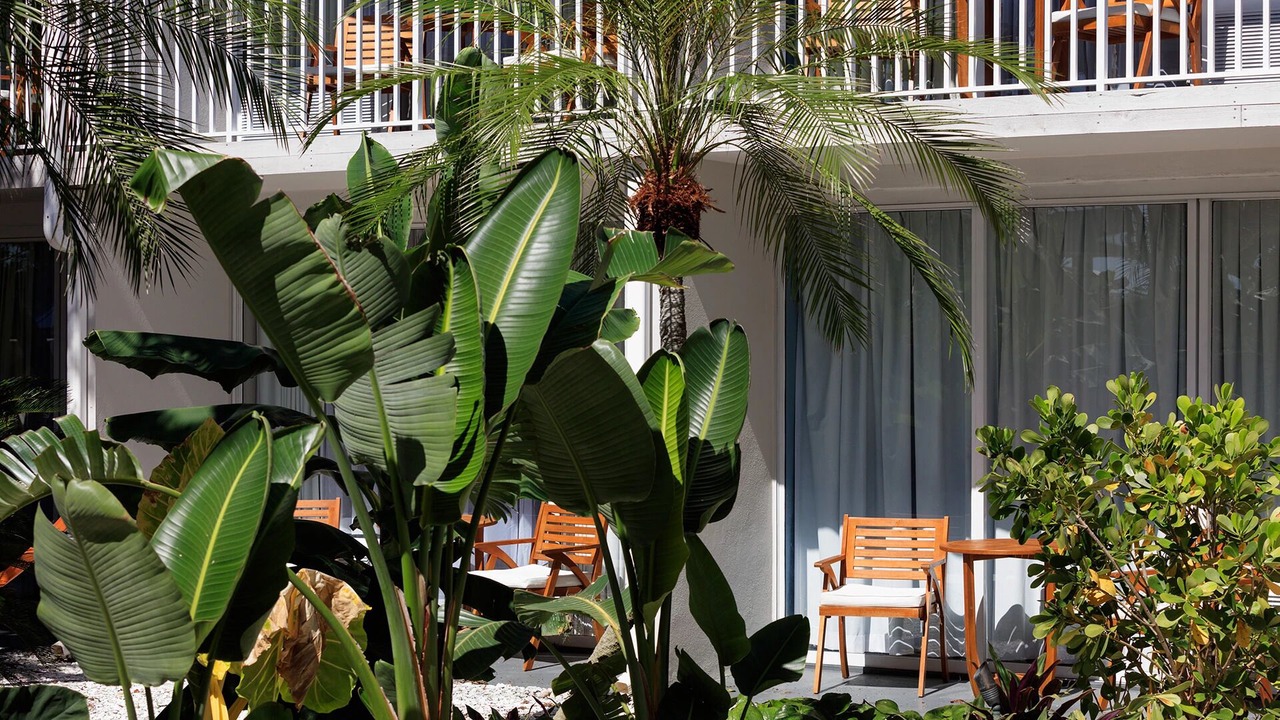 Photo of Outdoor in Pinellas Point