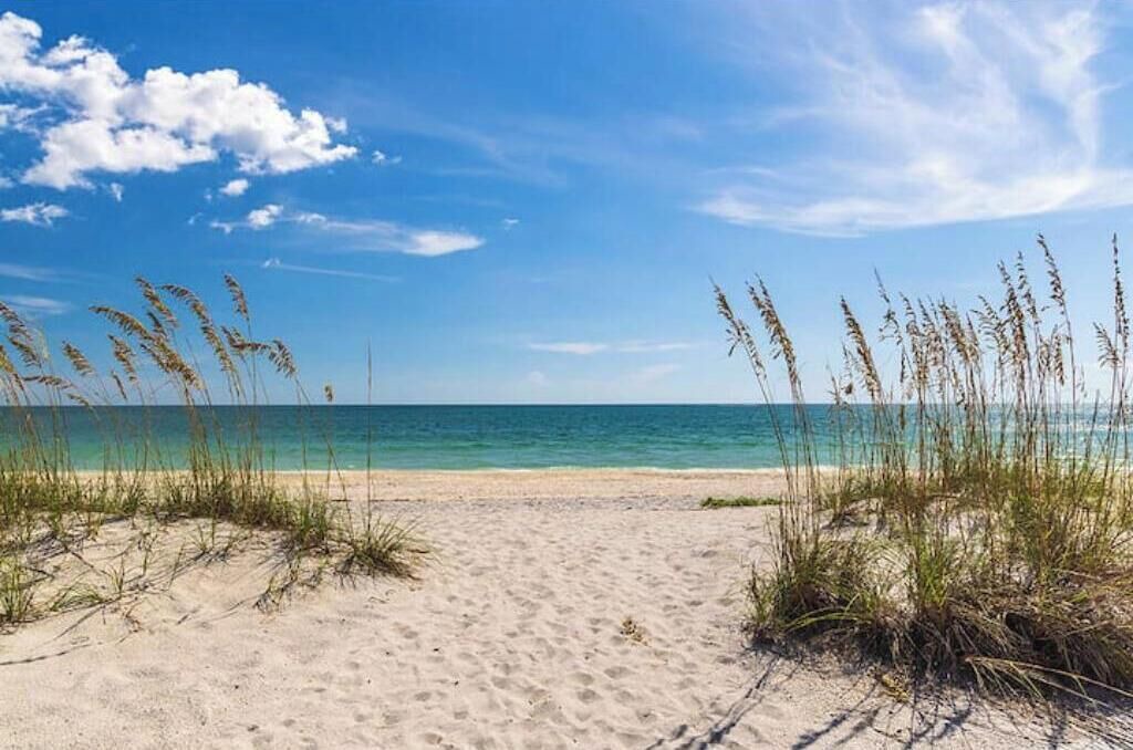 Photo of Others in Port Charlotte