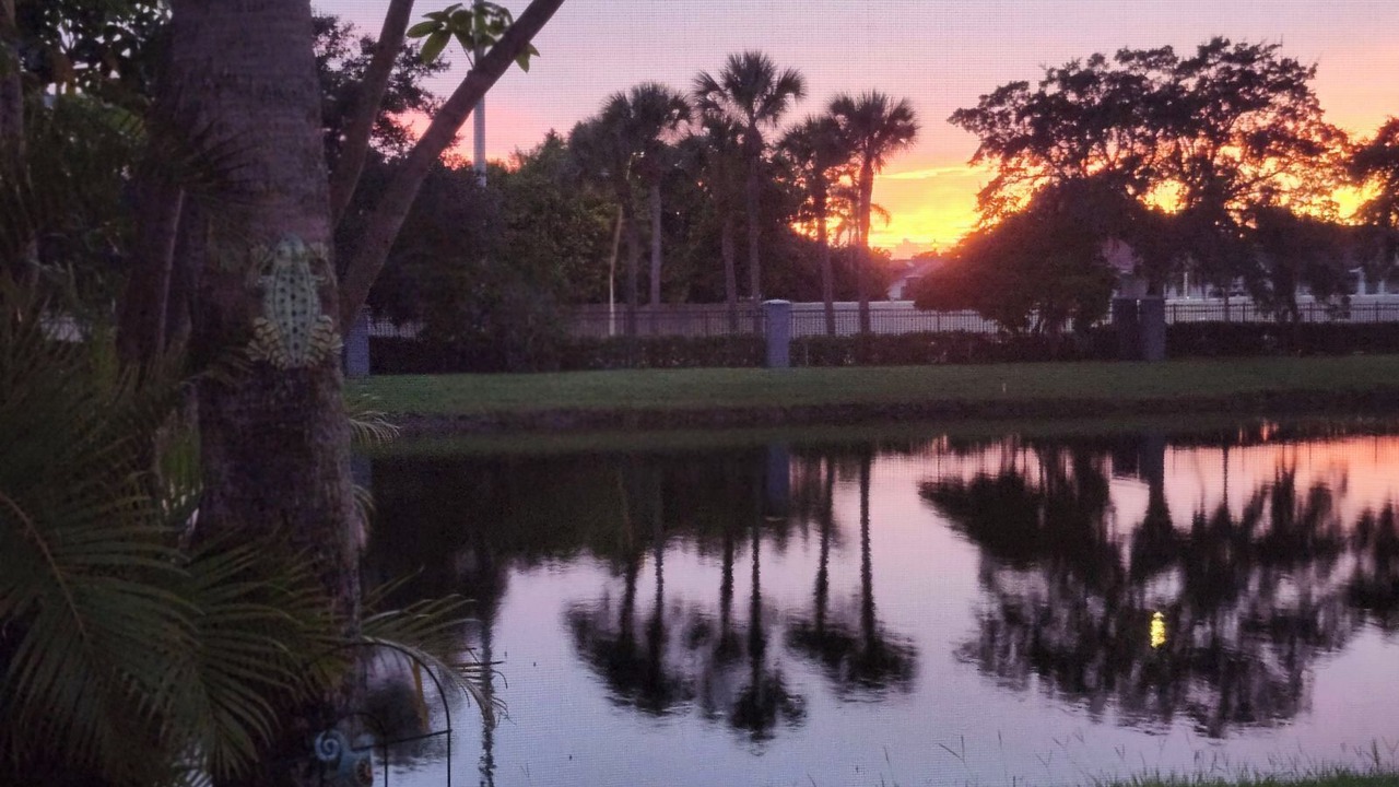 Photo of Outdoor in Sabal Harbour