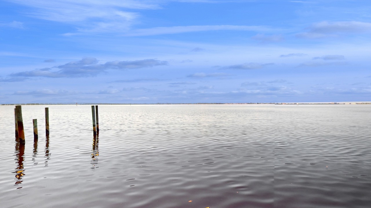 Photo of Others in Charlotte Harbor