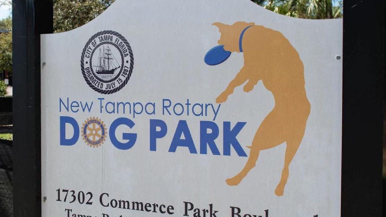 Photo of Outdoor in New Tampa