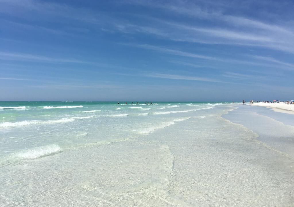 Photo of Others in Siesta Key