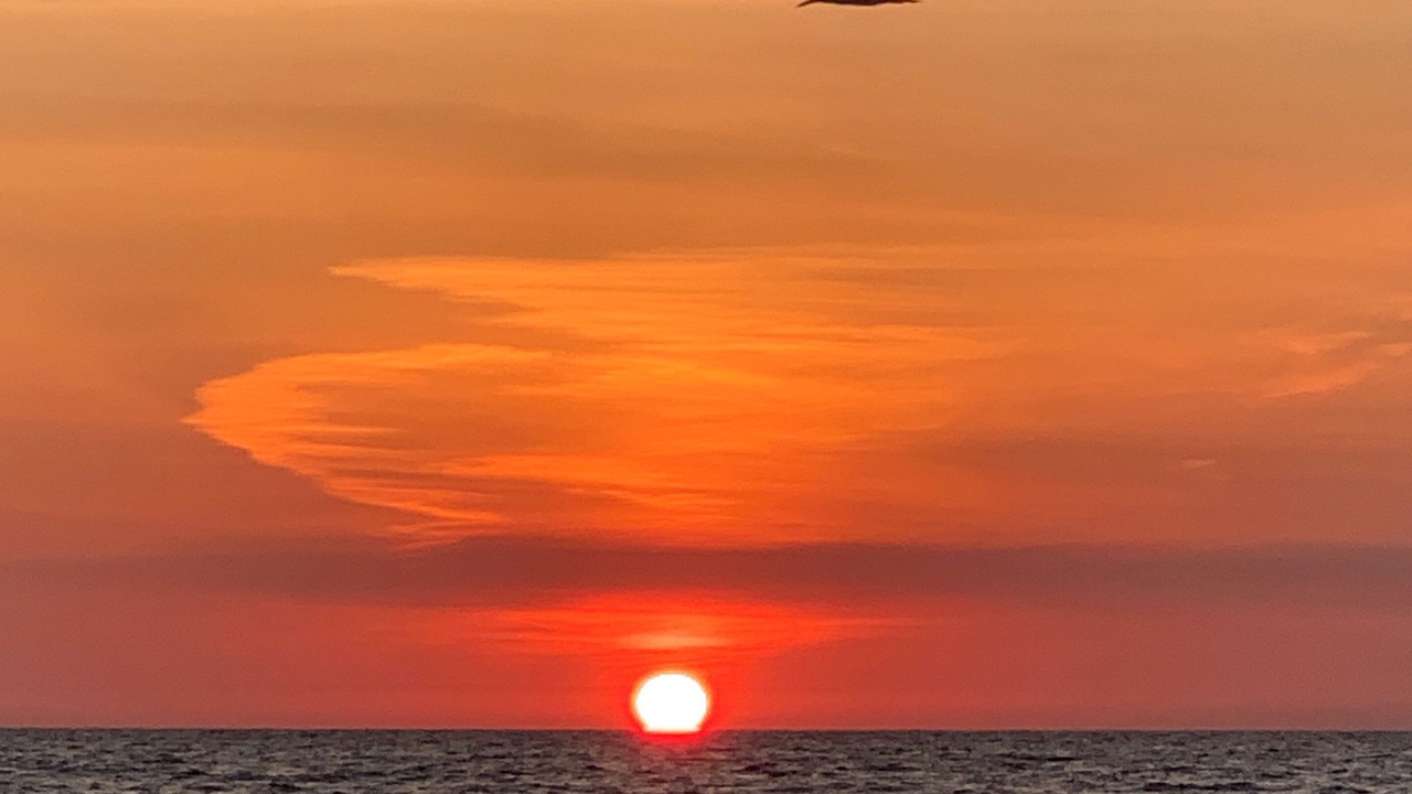 Photo of Others in East Naples