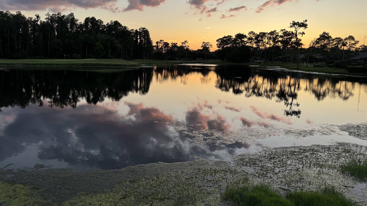 Photo of Outdoor in Wesley Chapel