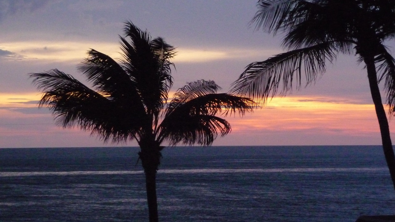 Photo of Others in Boca Grande
