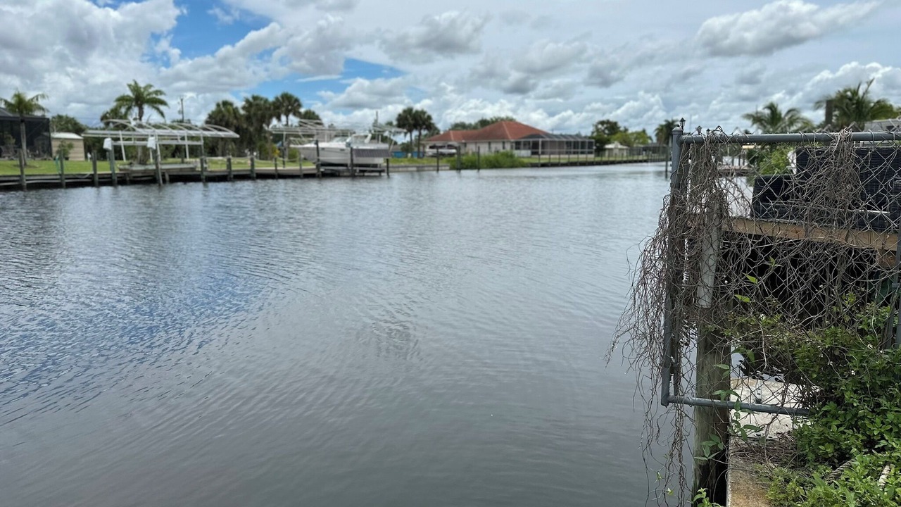 Photo of Others in Fort Myers Shores