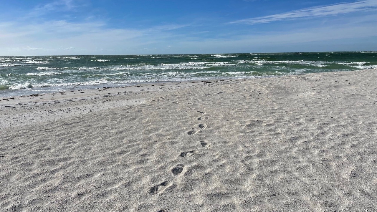 Photo of Others in North Captiva