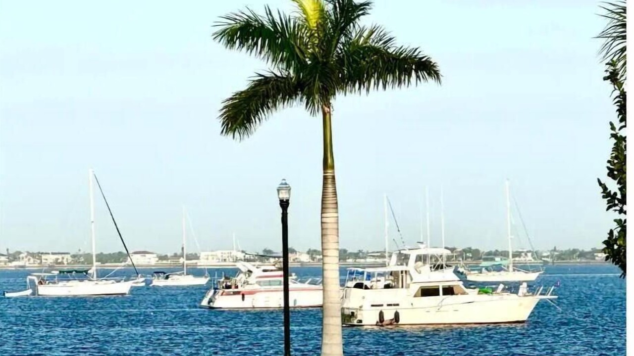 Photo of Others in Historic District
