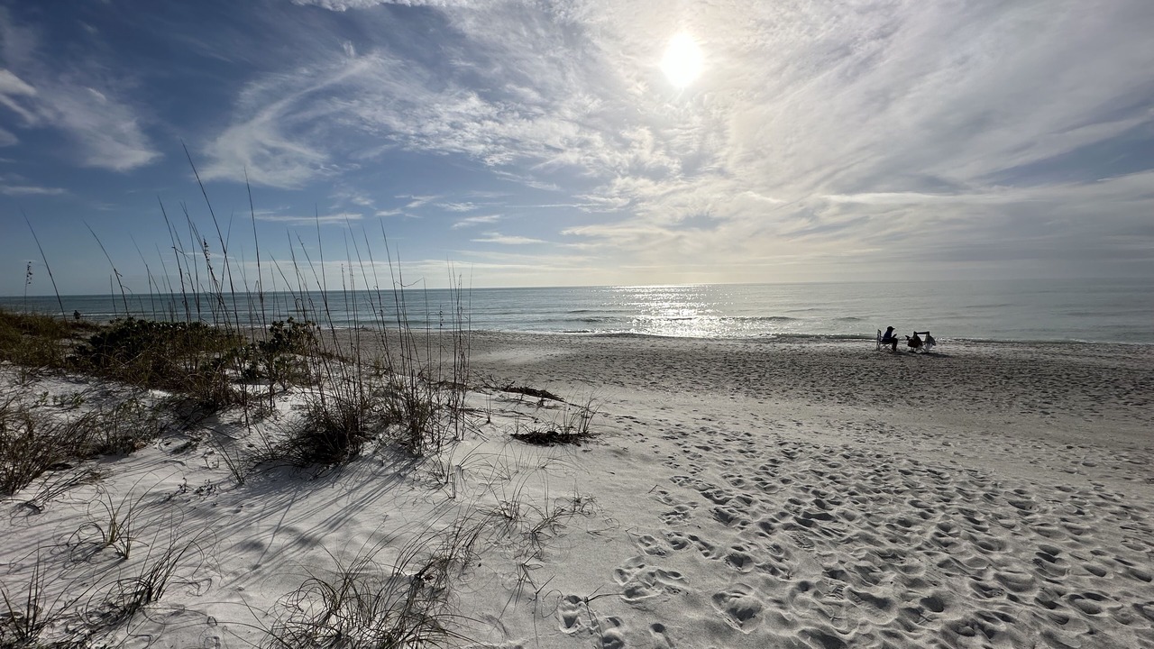 Photo of Others in Longboat Key