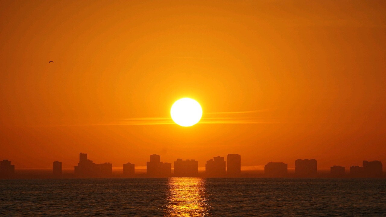 Photo of Others in Bonita Shores