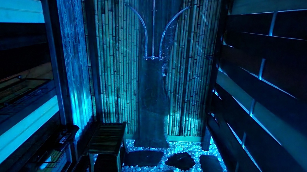 Photo of Others in Suncoast Estates