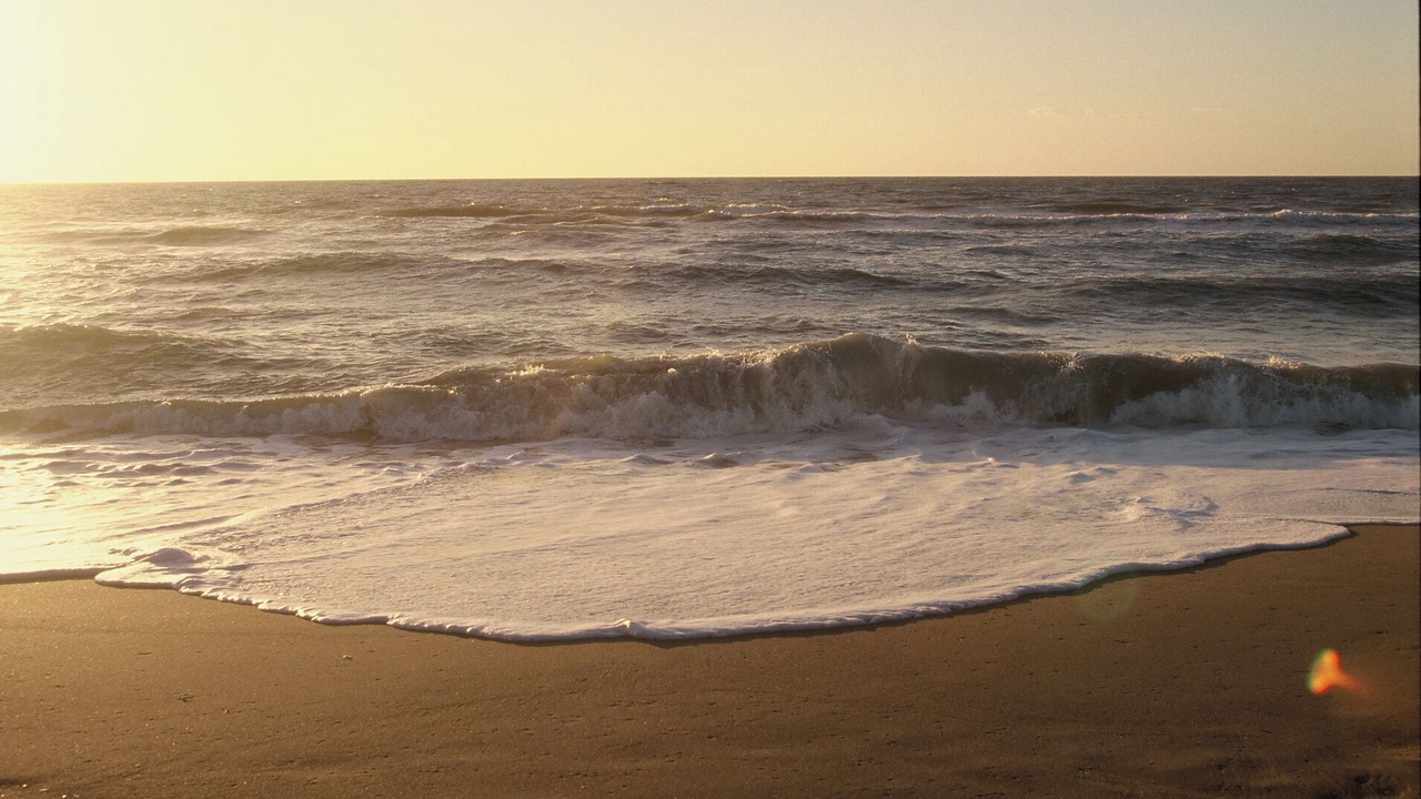Photo of Others in Golden Beach