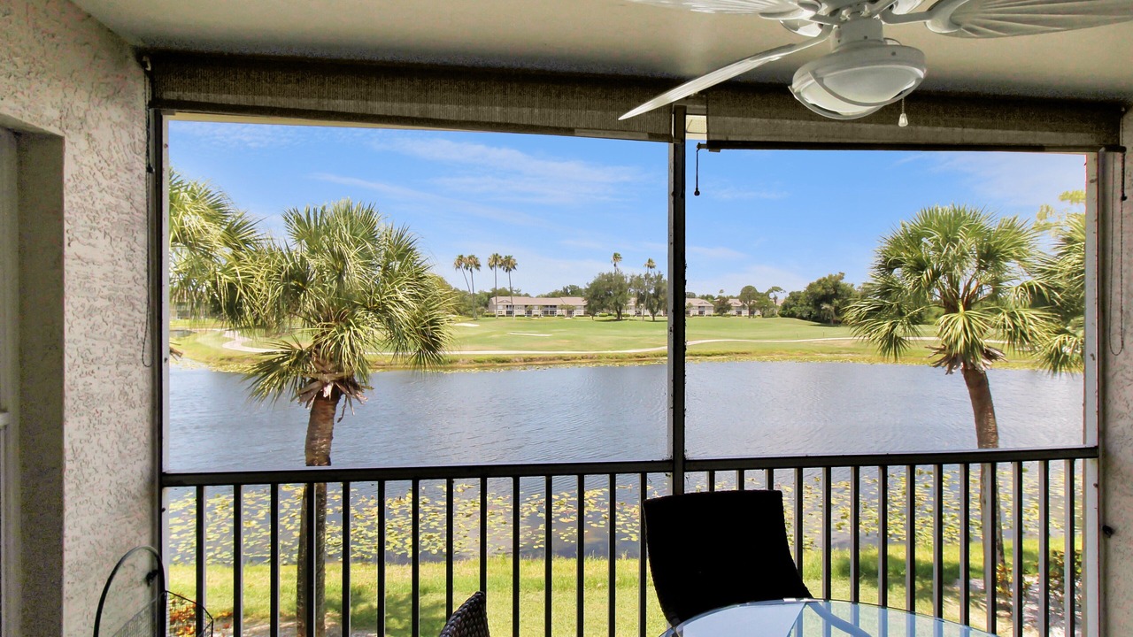 Photo of Outdoor in Sarasota