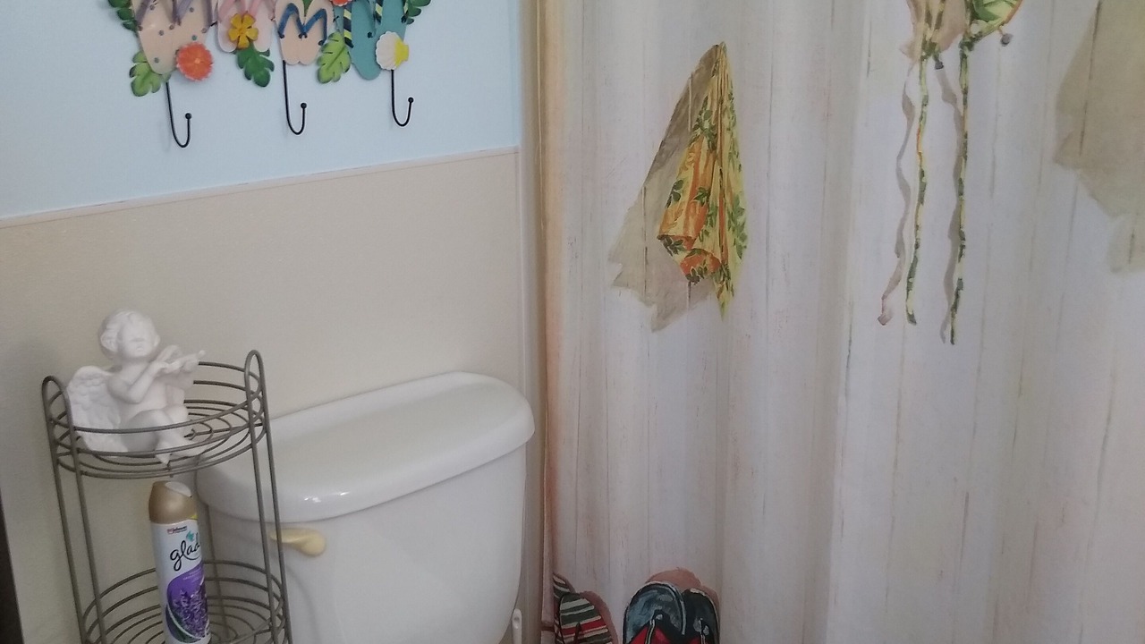 Photo of Bathroom in Englewood South