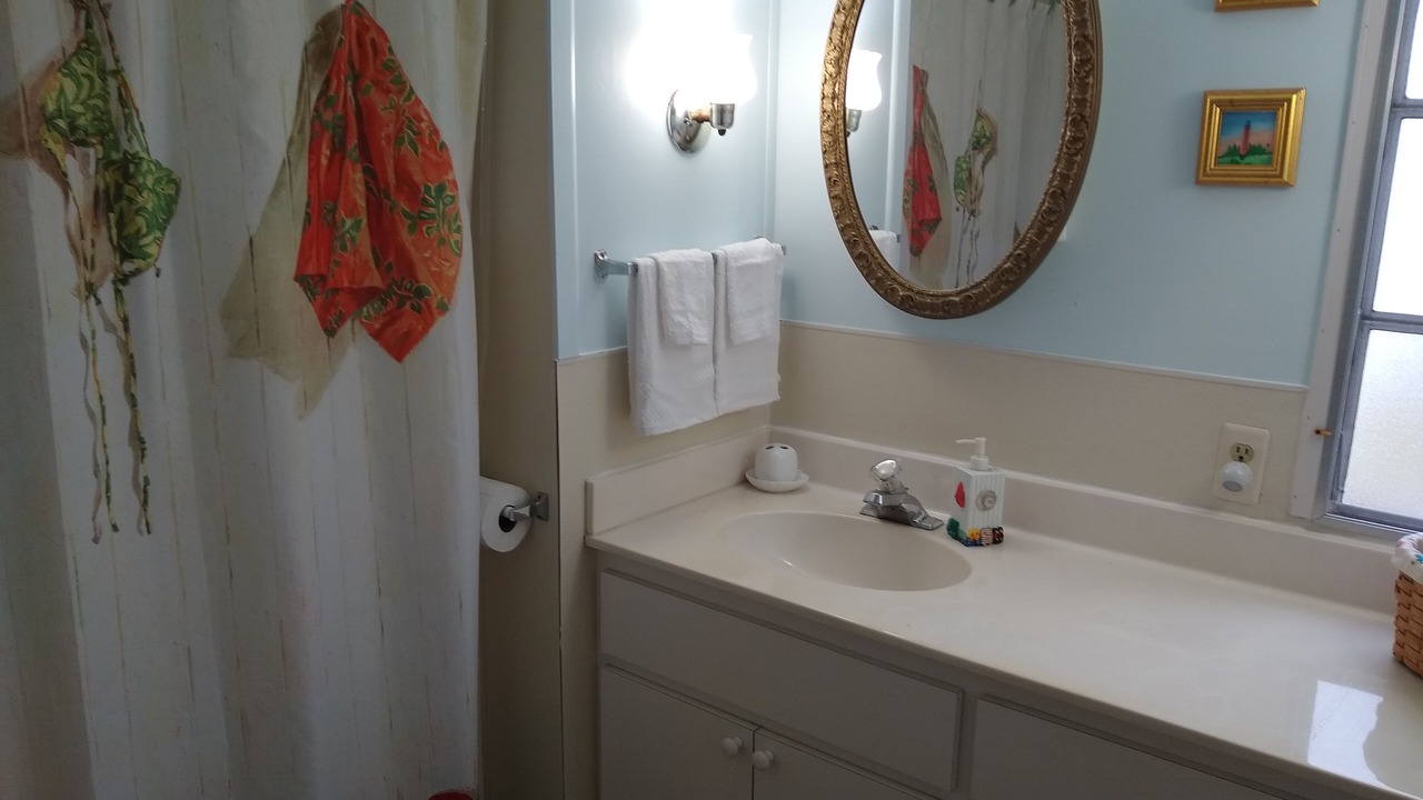Photo of Bathroom in Englewood South