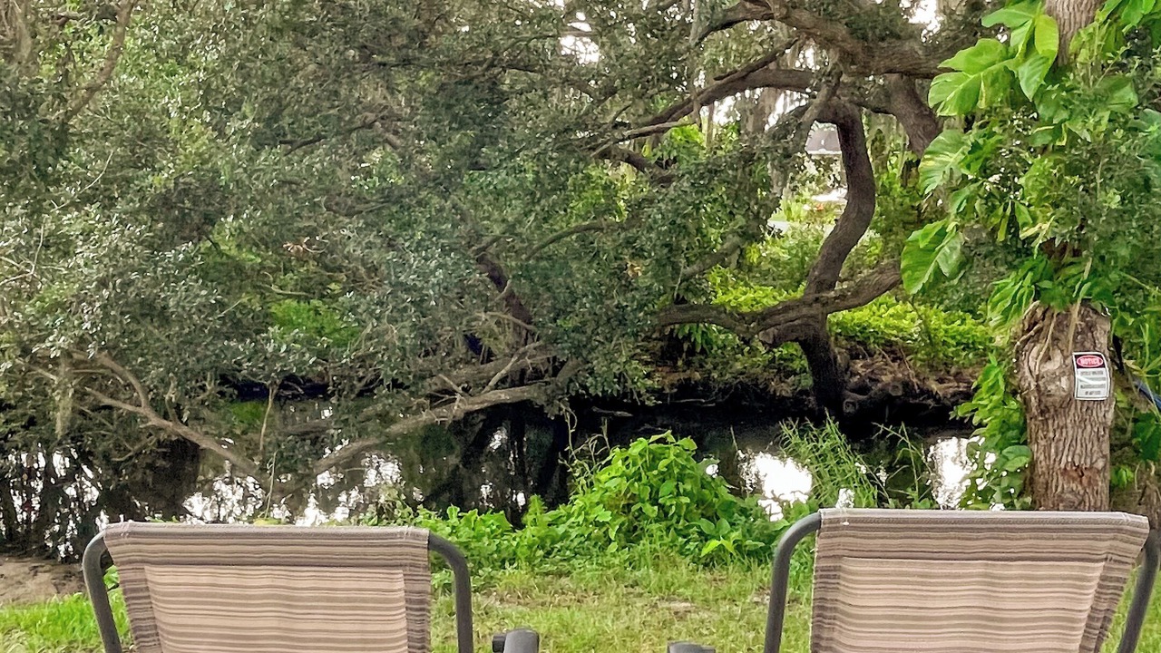 Photo of Outdoor in Warm Mineral Springs