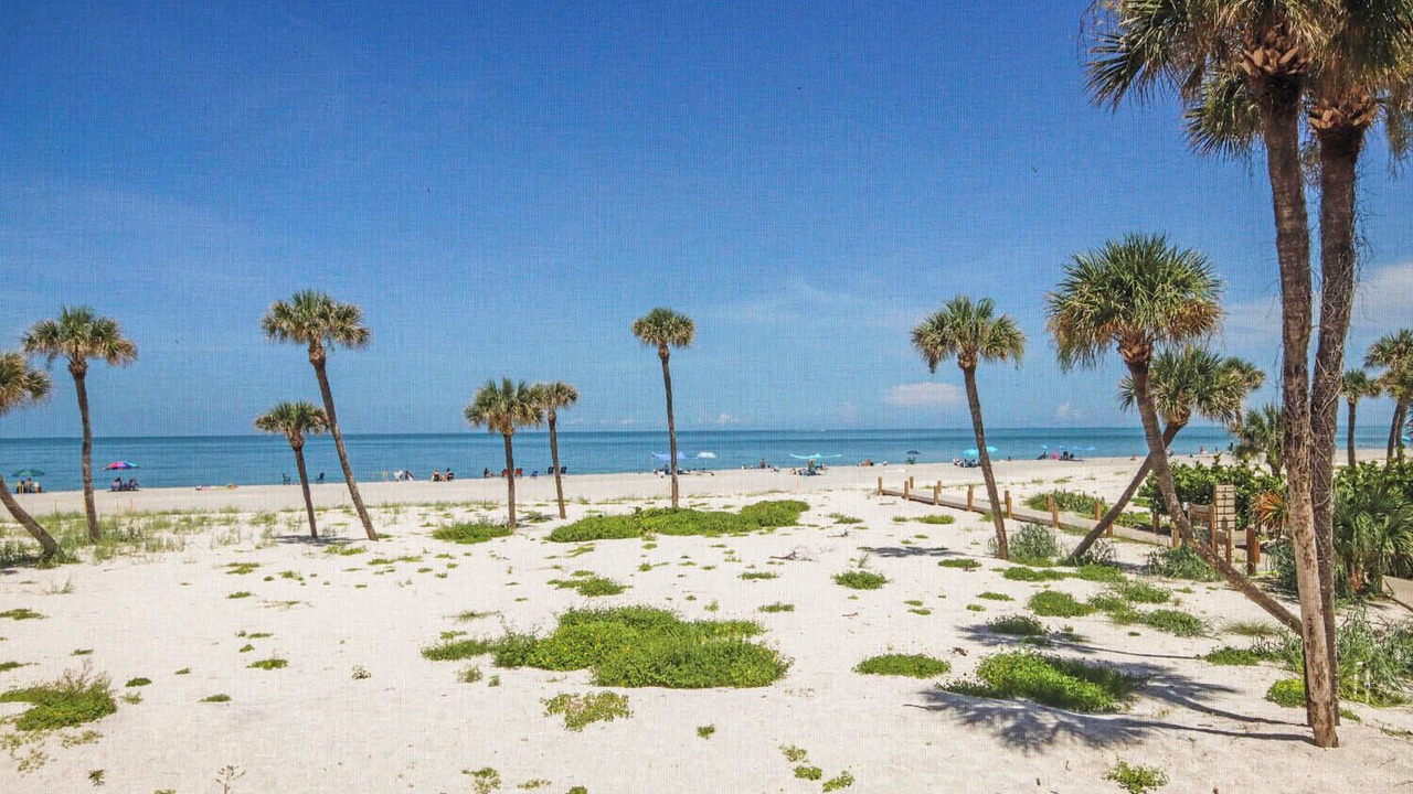 Photo of Others in Captiva