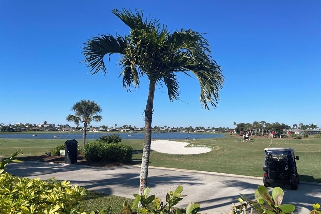 Photo of Others in Tropical Cove
