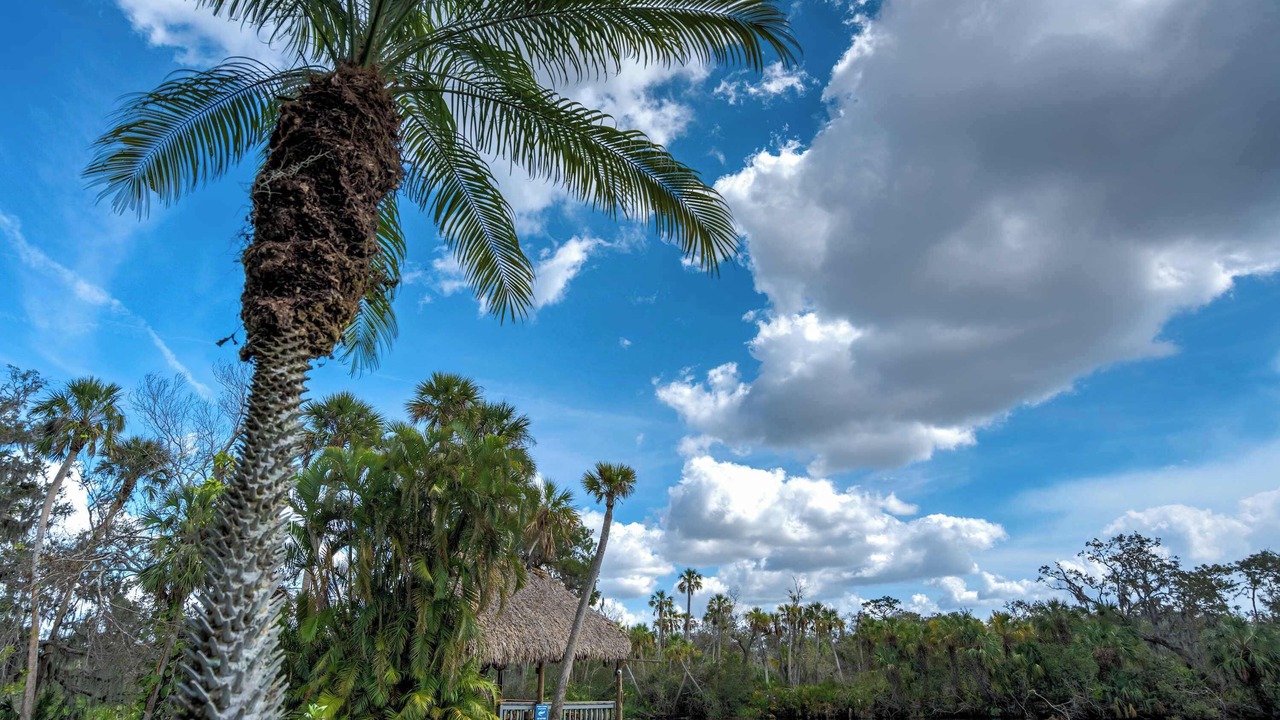 Photo of Others in Braden River