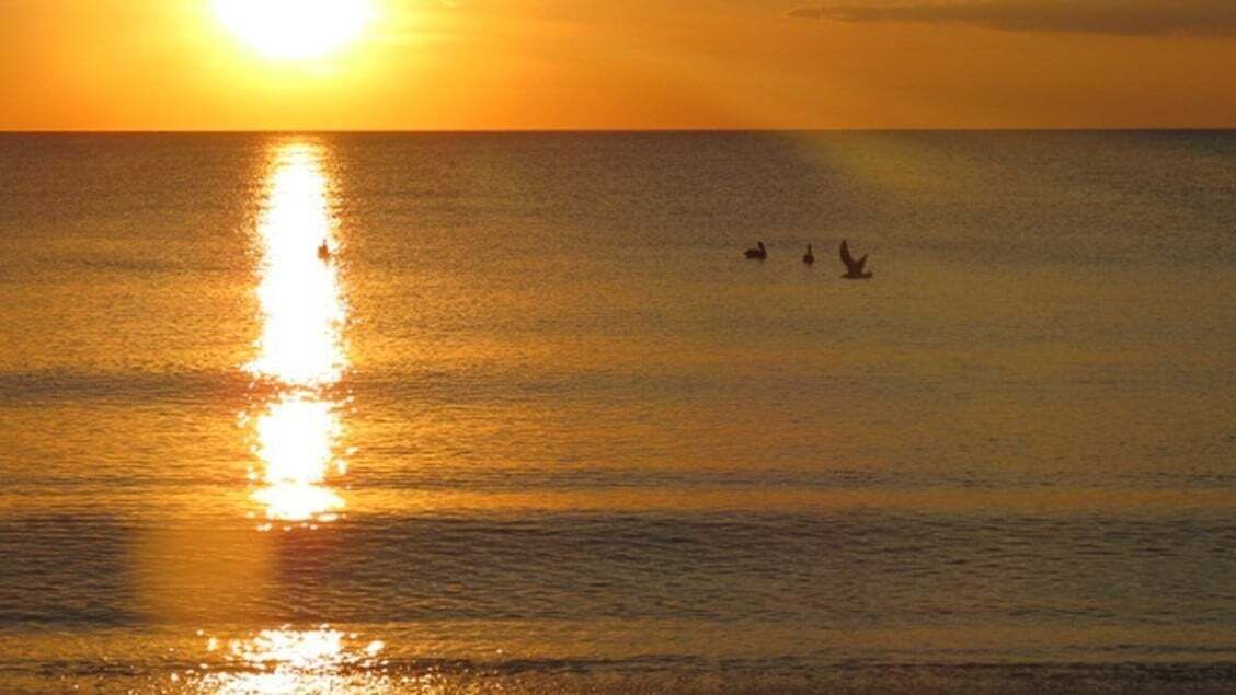 Photo of Others in Boca Grande