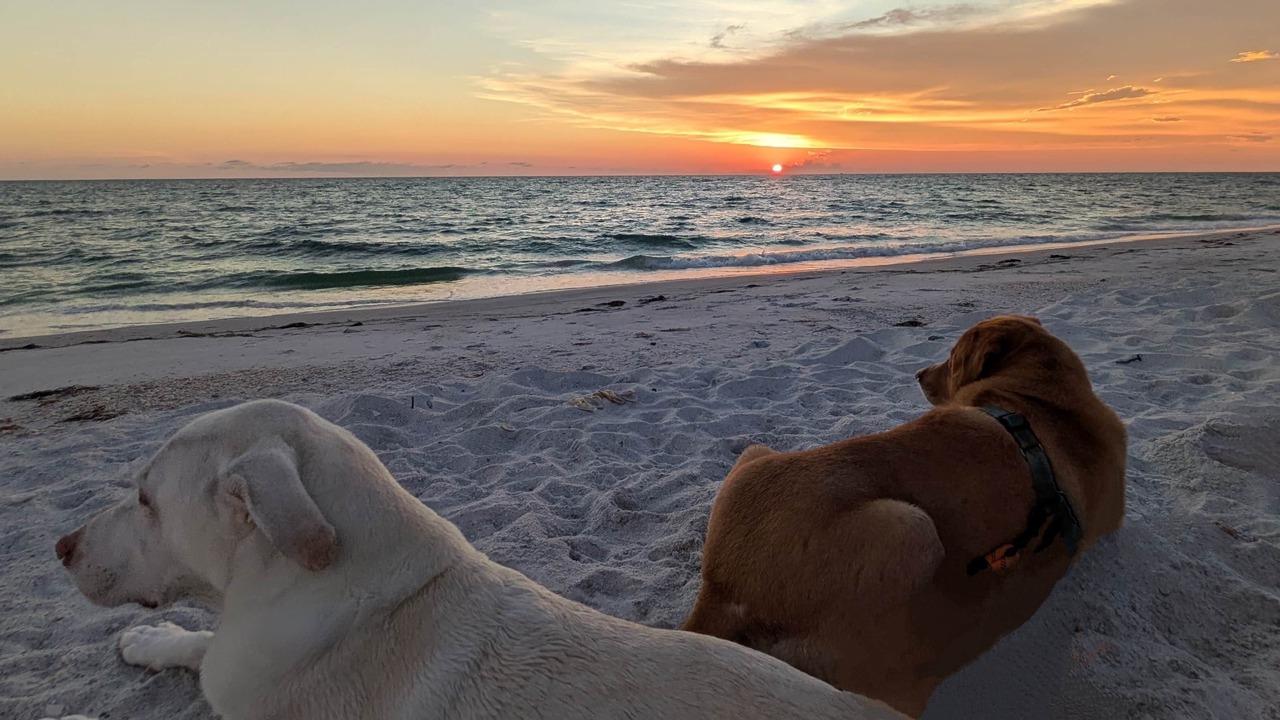 Photo of Others in North Captiva