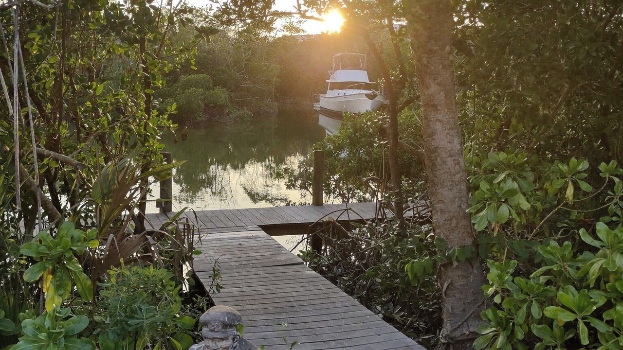 Photo of Outdoor in Palm Island