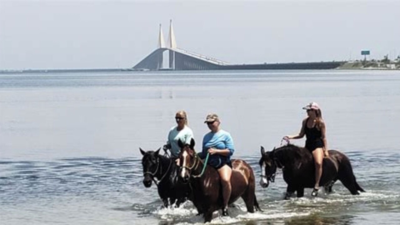 Photo of Others in Pinellas Point