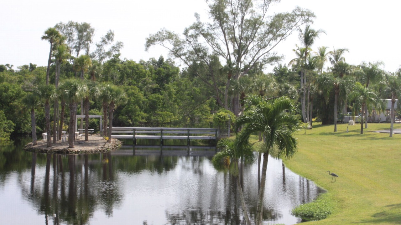 Photo of Others in Lochmoor Waterway Estates