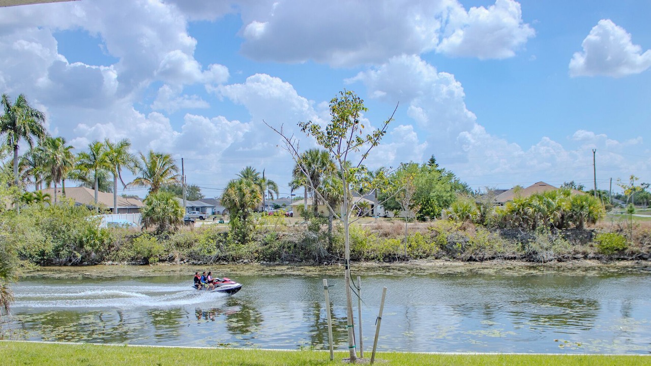 Photo of Others in Jacarandas