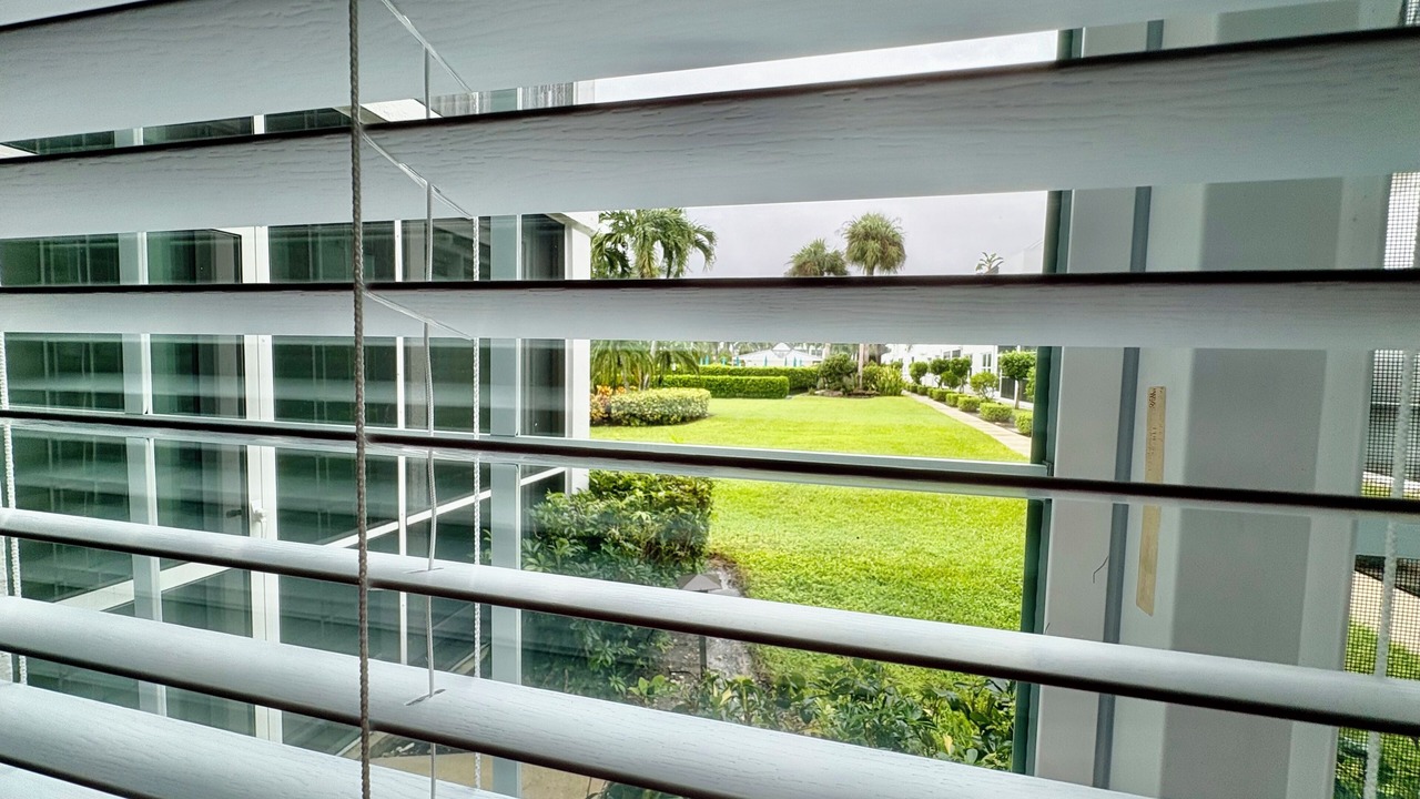 Photo of Outdoor in Park Shore