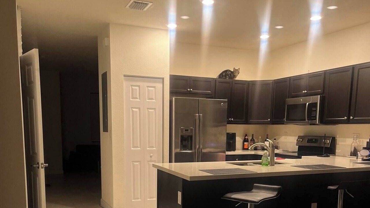 Photo of Kitchen in Princeton