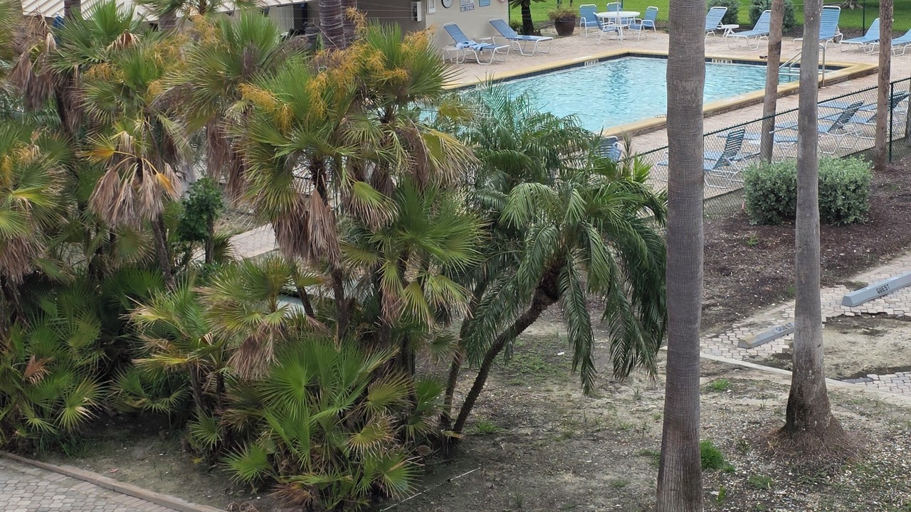 Photo of Outdoor in Sanibel