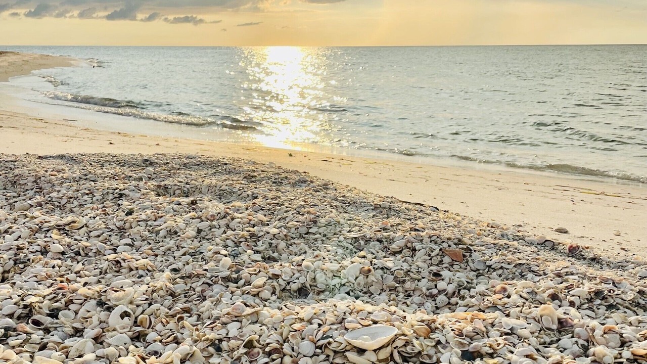 Photo of Others in North Captiva
