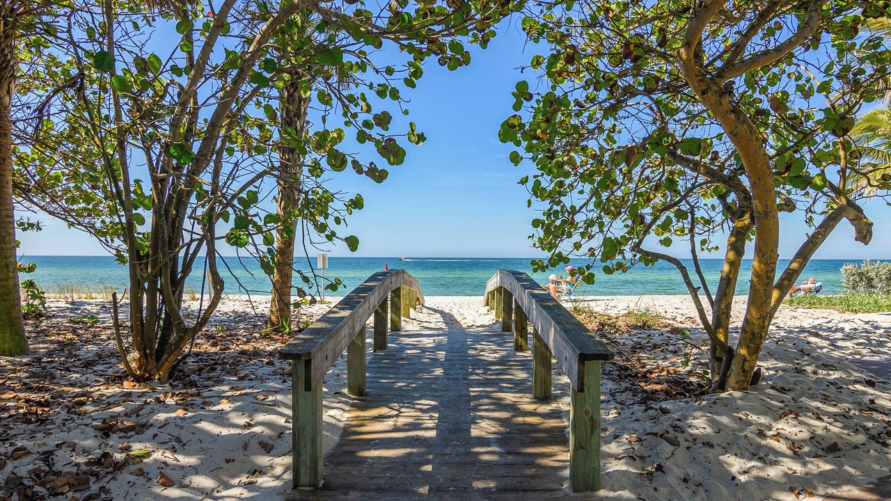 Photo of Others in Coquina Sands