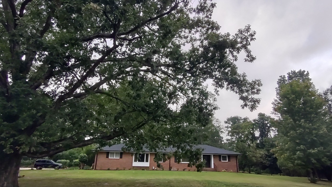 Photo of Outdoor in Wade Hampton