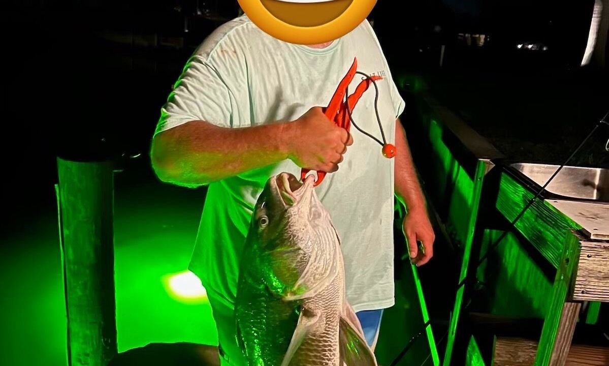 Photo of Outdoor in Punta Gorda