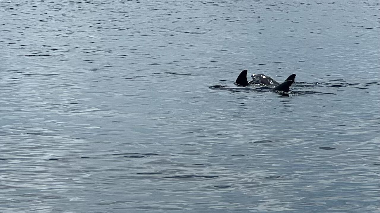 Photo of Others in Punta Gorda