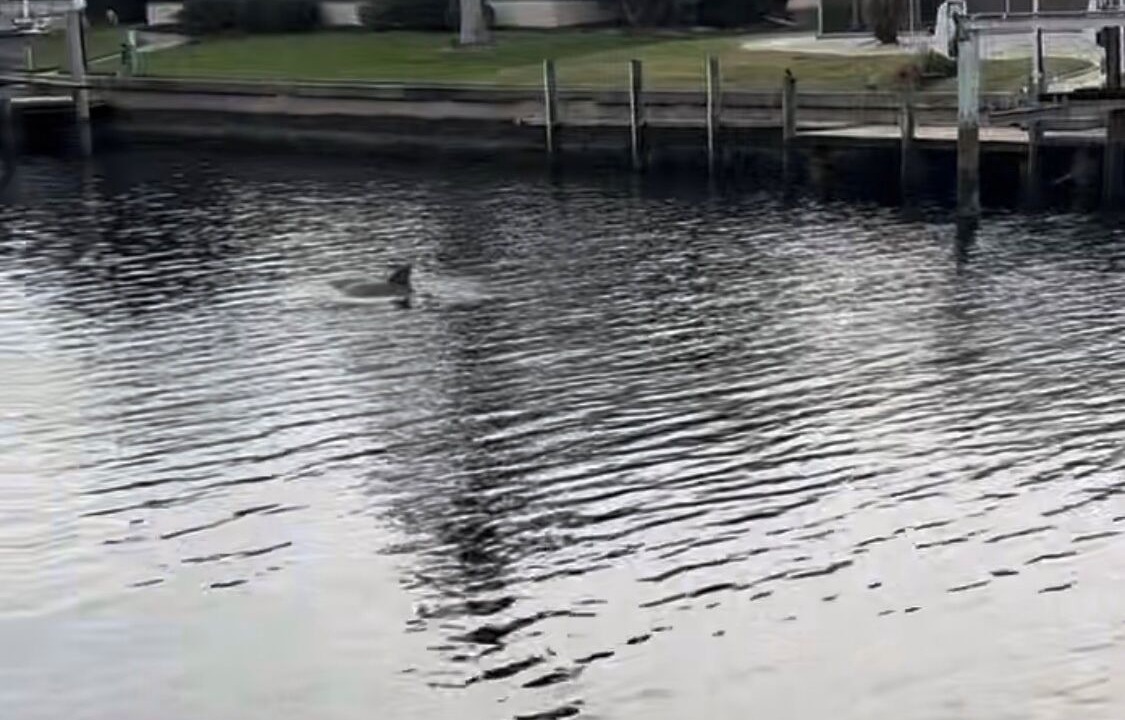 Photo of Others in Punta Gorda