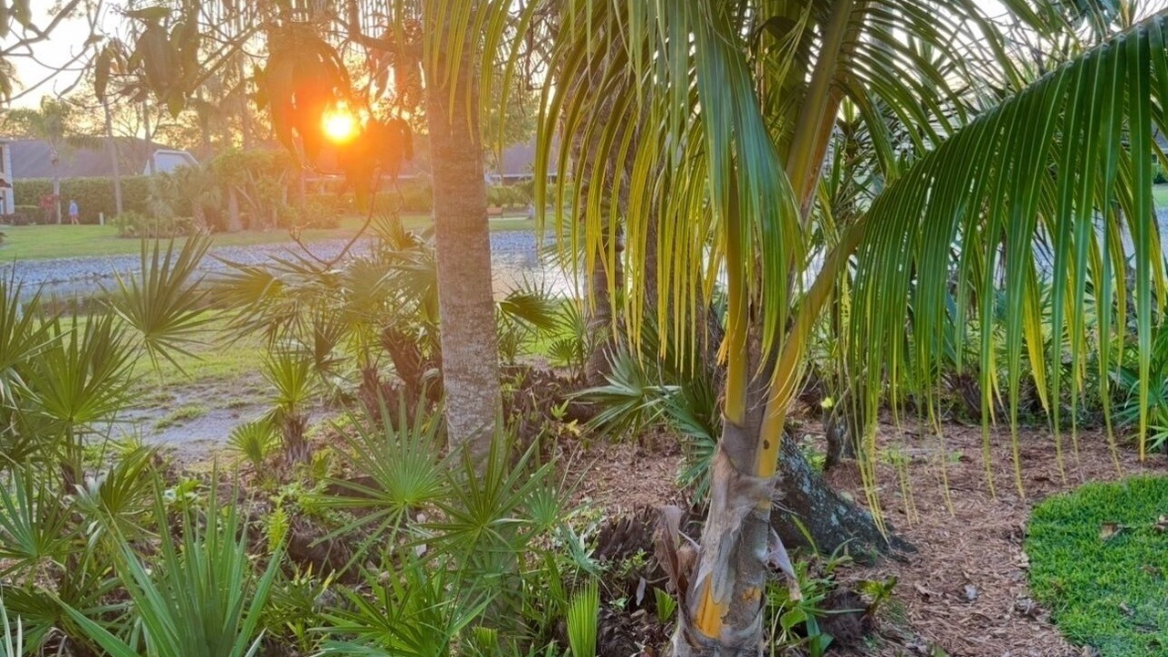 Photo of Outdoor in Crown Pointe
