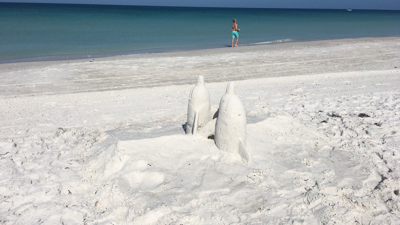 Photo of Others in Bradenton Beach