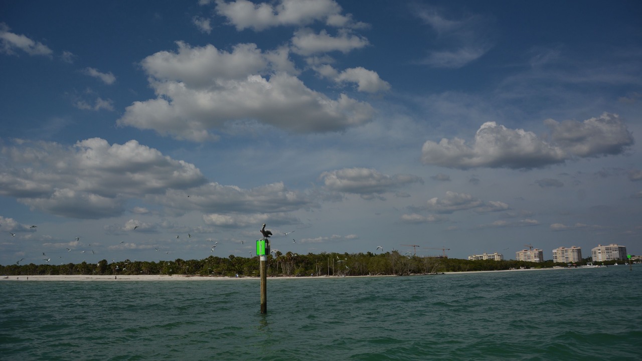 Photo of Others in Cape Coral