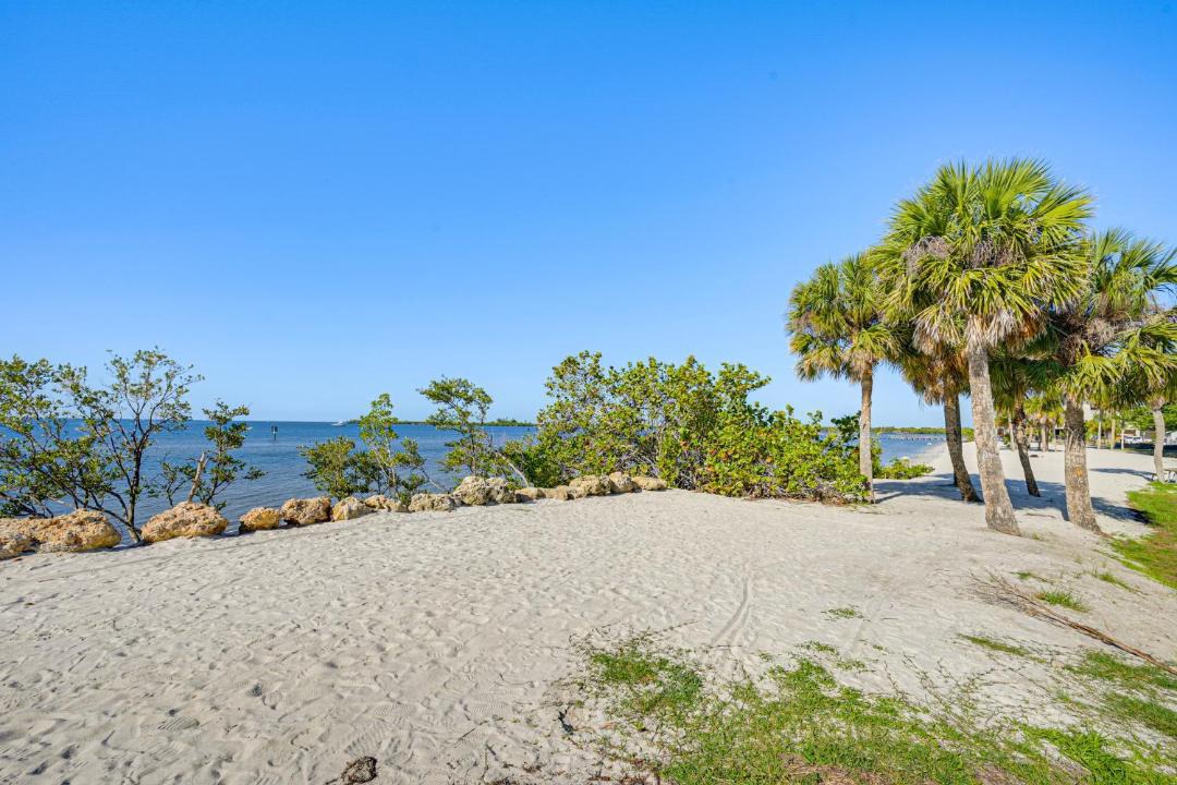 Photo of Others in Edgewater